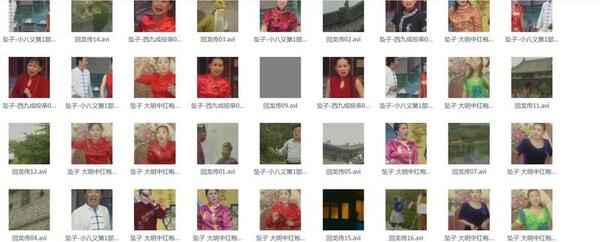 河南坠子大全视频_河南坠子戏全集mp3下载,全套视频教程学习资料通过百度云网盘下载