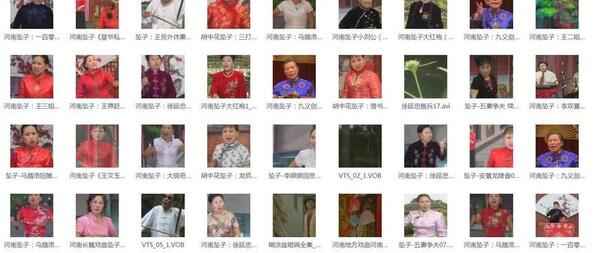 河南坠子大全视频_河南坠子戏全集mp3下载,全套视频教程学习资料通过百度云网盘下载